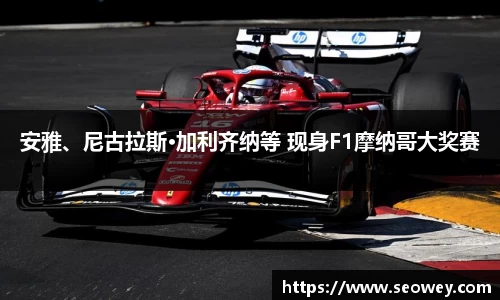 安雅、尼古拉斯·加利齐纳等 现身F1摩纳哥大奖赛